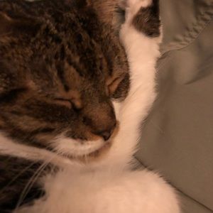 Meet your Posher, Brandy